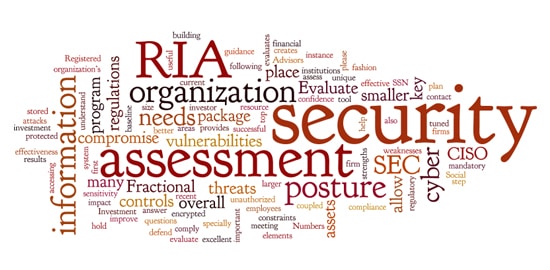 (RIA) Cyber Security Assessment