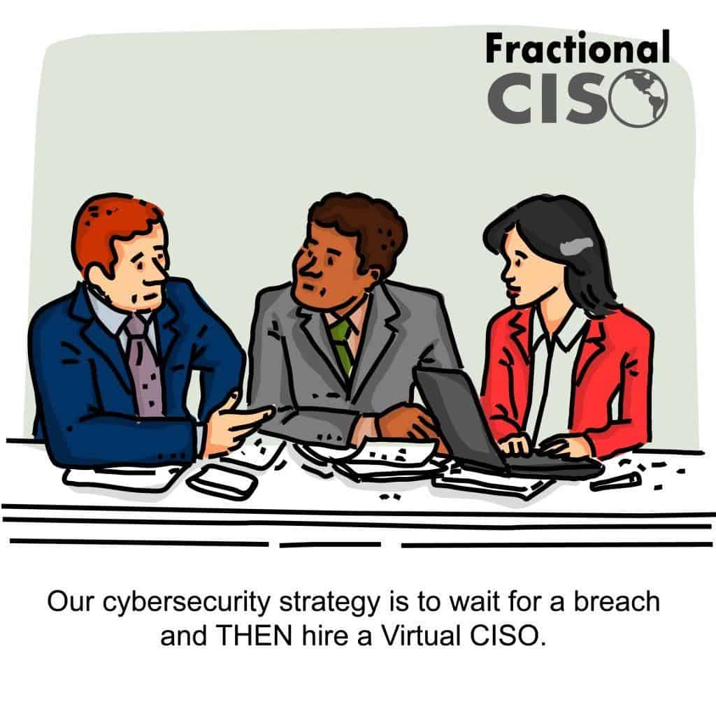 Virtual CISO - Virtual Chief Information Security Officer (vCISO)